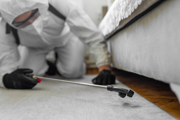 Professional Bed Bug Control technician working in Trumansburg, NY