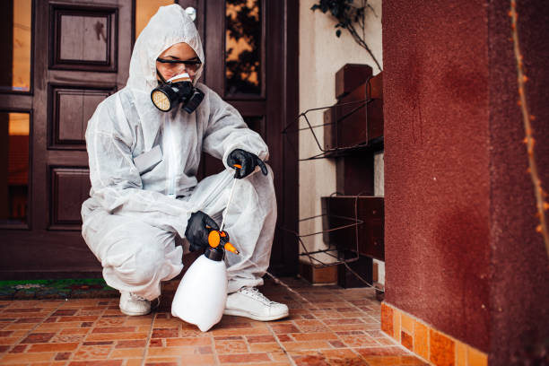 Reliable Bed Bug Control contractor in Trumansburg, NY by Nex Pest Control