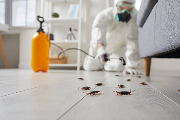 Trusted Emergency Pest Control service in Trumansburg, NY - Nex Pest Control